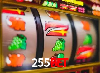 Account Benefits 255bet
