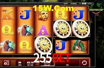 Security Systems 255bet